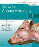 Color Atlas of Veterinary Anatomy, Volume 1