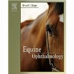 Equine ophthalmology