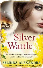 Silver Wattle