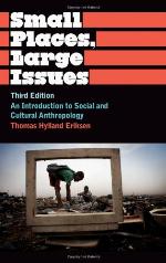 Small Places, Large Issues