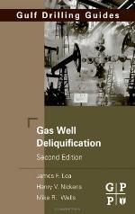Gas Well Deliquification, Second Edition (Gulf Drilling Guides)