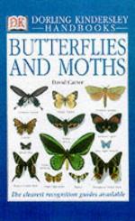 Butterflies And Moths