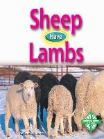 Sheep Have Lambs