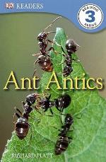 Ant Antics