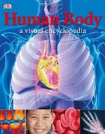 Human Body