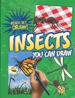 Insects You Can Draw