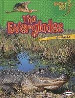The Everglades