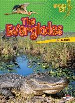 The Everglades