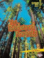 The Redwood Forests