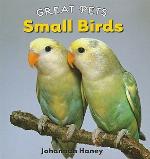 Small Birds