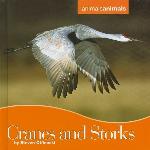 Cranes and Storks
