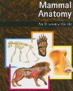 Mammal Anatomy