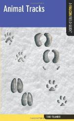 Animal Tracks