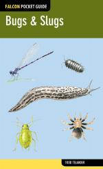 Bugs &amp; Slugs (Falcon Pocket Guide)