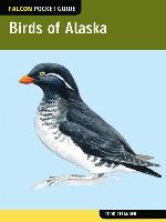 Falcon Pocket Guide: Birds of Alaska