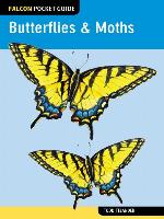 Falcon Pocket Guide: Butterflies & Moths