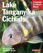 Lake Tanganyika Cichlids