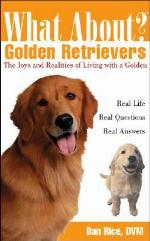 What About Golden Retrievers
