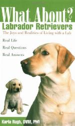 What About Labrador Retrievers
