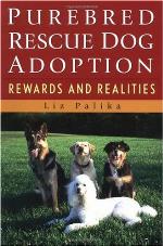 Purebred Rescue Dog Adoption