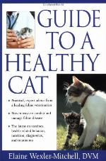 Guide to a Healthy Cat