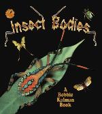 Insect Bodies (World of Insects (Crabtree Publishing Paperback))