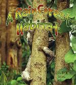 A Rainforest Habitat