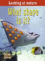 What Shape Is It?