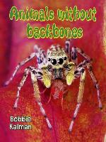 Animals Without Backbones