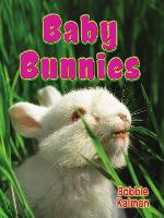 Baby Bunnies