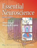 Essential Neuroscience (Point (Lippincott Williams &amp; Wilkins))