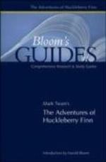 Mark Twain's The Adventures Of Huckleberry Finn (Bloom's Guides)