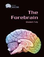 The Forebrain