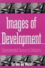 Images of Development