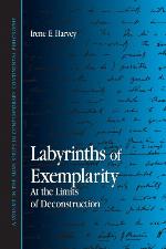 Labyrinths of Exemplarity
