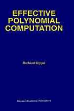 Effective Polynomial Computation