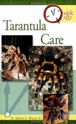 Tarantula Care