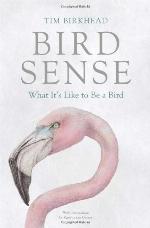 Bird Sense