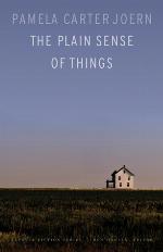 The Plain Sense of Things