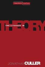 The Literary in Theory