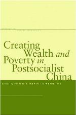 Creating Wealth and Poverty in Postsocialist China