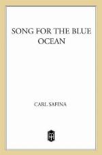 Song for the Blue Ocean