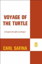 Voyage of the Turtle
