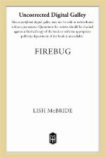 Firebug