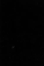 Perception, Expression, and History