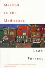 Meteor in the Madhouse