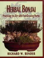 Herbal Bonsai