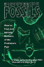 Discovering Fossils