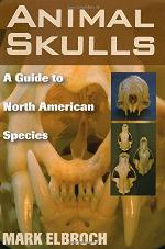 Animal Skulls