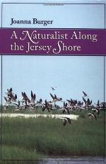 A Naturalist Along the Jersey Shore